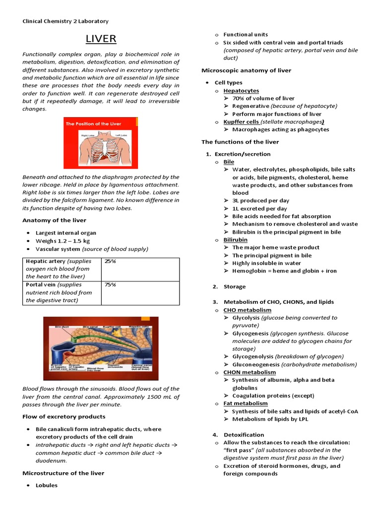 Function Of Liver Pdf
