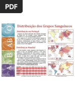 Distribuição dos Grupos Sanguíneos
