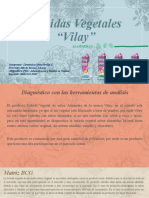 Bebidas Vegetales "Vilay": Integrante: Doménica Mancarella C. Docente: Asignatura FOL: Sección: 1211-004