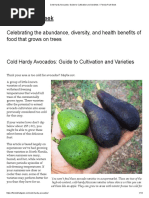PLU Codes for Fruits and Vegetables | PDF | Capsicum | Chili Pepper