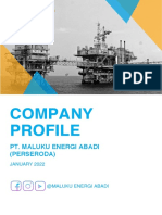 Company Profile: Pt. Maluku Energi Abadi (Perseroda)
