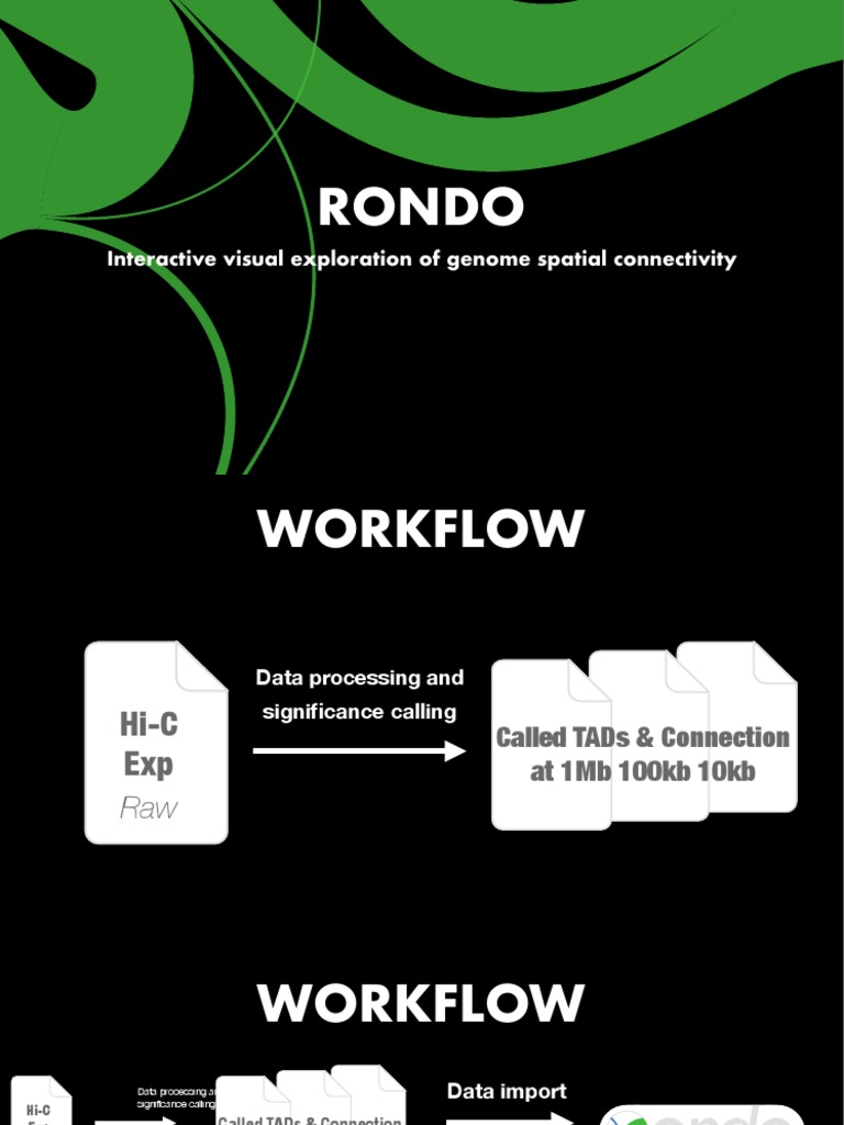 Rondo Quick Presentation | PDF | Data | Cognitive Science