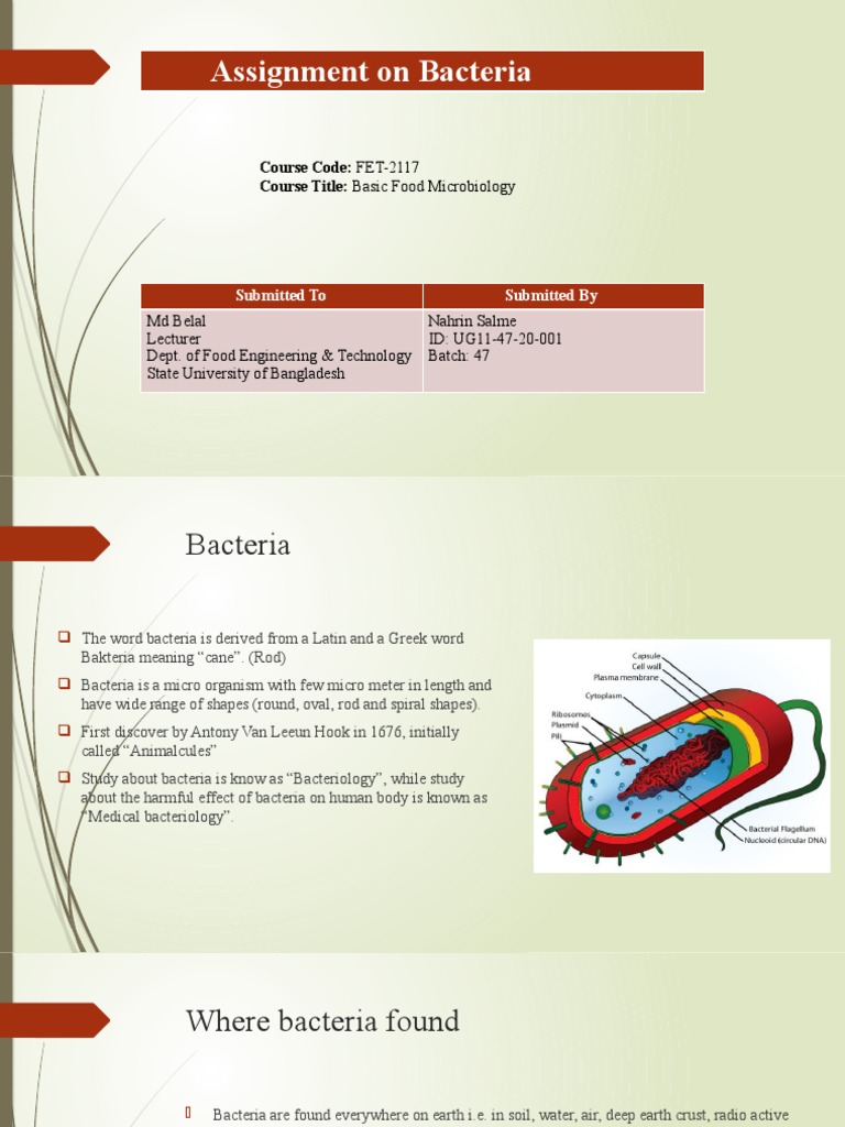 Bacteria Pdf Bacteria Microscopy