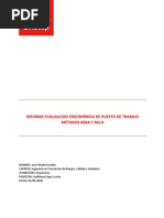 6 Ergonomia NTP-ISO-TR 12295-2021 | PDF | Organización internacional ...