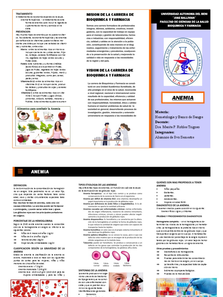 Tipos y Tratamientos de Anemia | PDF | Anemia | Glóbulo rojo