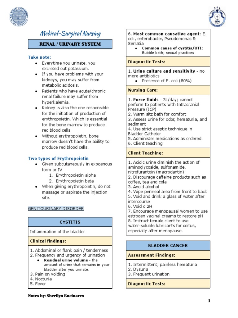 MS 1 - Renal System | PDF | Hemodialysis | Kidney Transplantation