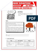 Ejercicios de Comprensión de Textos para Segundo de Secundaria