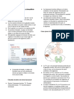 Glándula Tiroides: Alteraciones en Hipo e Hipertiroidismo y Desequilibrio Nutricional