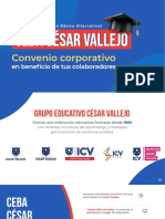 (Centro de Educación Básica Alternativa) : CEBA César Vallejo