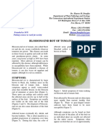 BLOSSOMENDROTOFTOMATO110410 RPDF