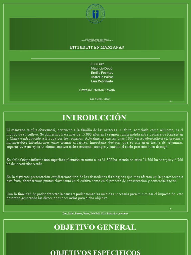 Bitter Pit en Manzanas: Causas y Control | PDF | manzana | Calcio