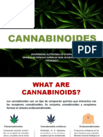 Cannabinoides Expo