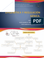 Genética Aplicada I Q.F.B Mauricio Hernández Méndez Por Mariana Espinosa García