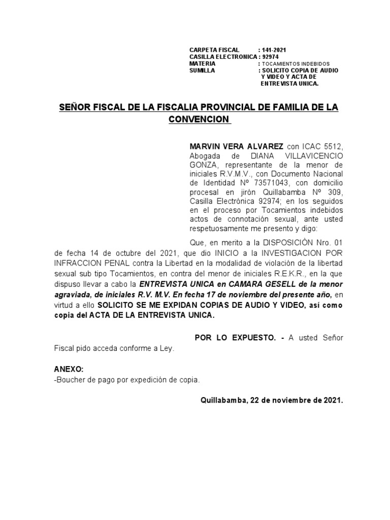 Escrito Diana Villavivencio Tocamientos Indebidos | PDF