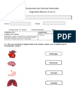 Evaluación de Ciencias Naturales Agosto Segundos Básicos