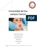 Universidad Del Sur Campus Cancún