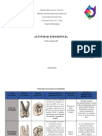 Actividad Endodoncia: Clínica Integral III