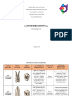 Actividad Endodoncia