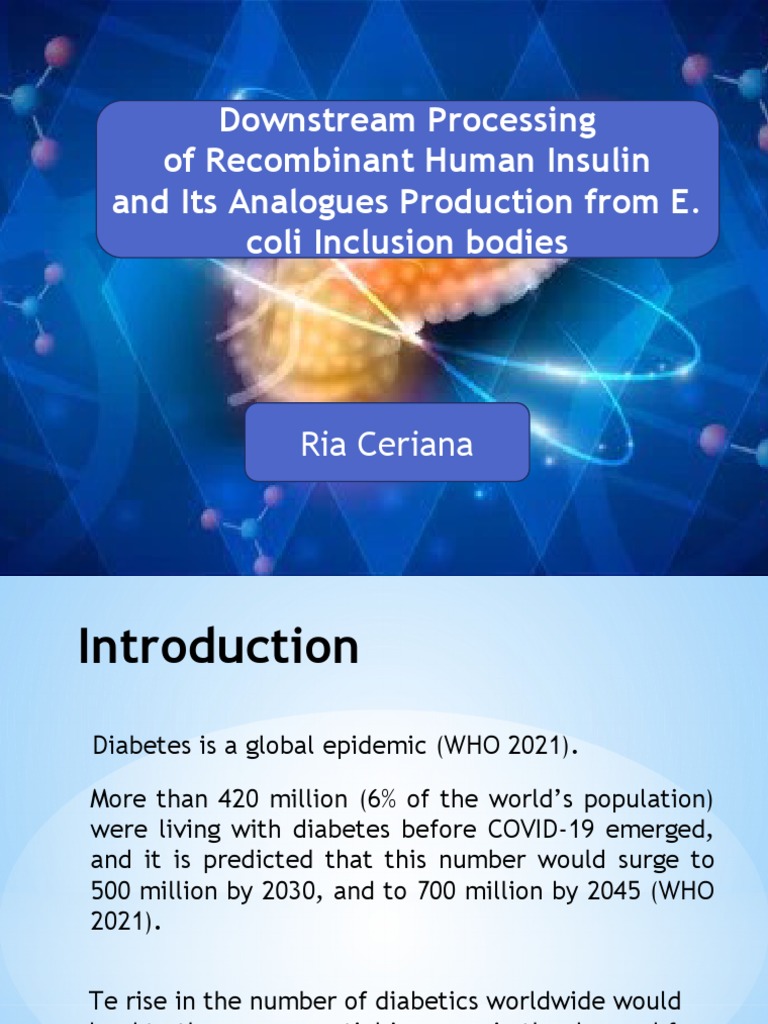 Recombinant Insulin Production from E. coli | PDF | Social Science ...