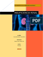 Insuficiencia Renal INFORME