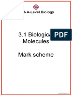 3.1 Biological Molecules Mark Scheme: AQA A-Level Biology