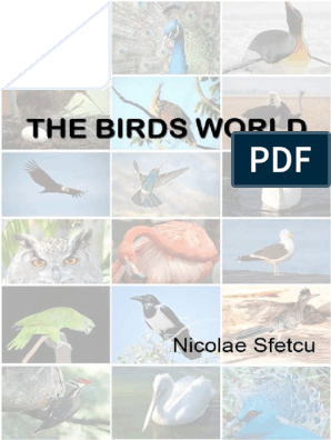 Straws Suck for Birds and Ocean Wildlife - intoBirds