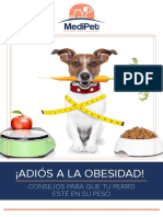 Miniguia Obesidad en Perros