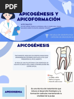 Presentacion Apicogenesis y Apicoformacion