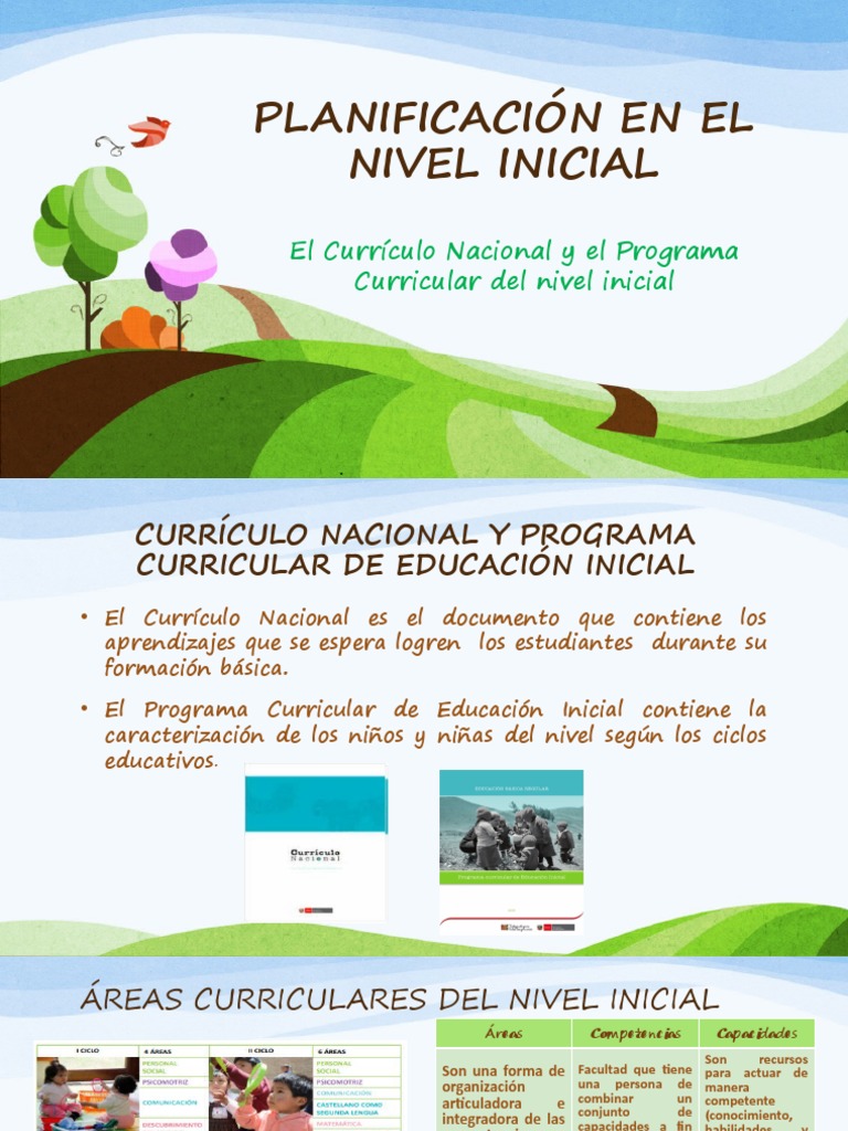 Planificación Curricular | PDF | Plan de estudios | Educación de la ...