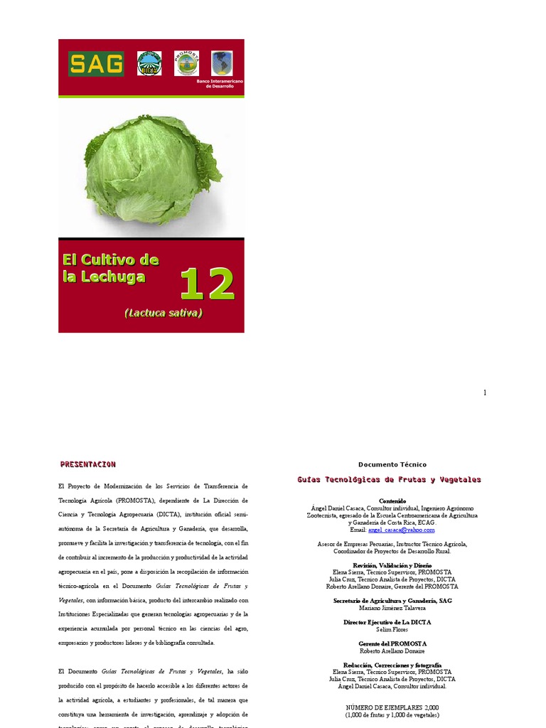 Lechuga | PDF | Lechuga | Fertilizante, image size:768x1024