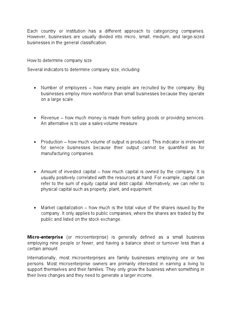 Micro - Small - Medium and Large Companies All Summaries | PDF ...