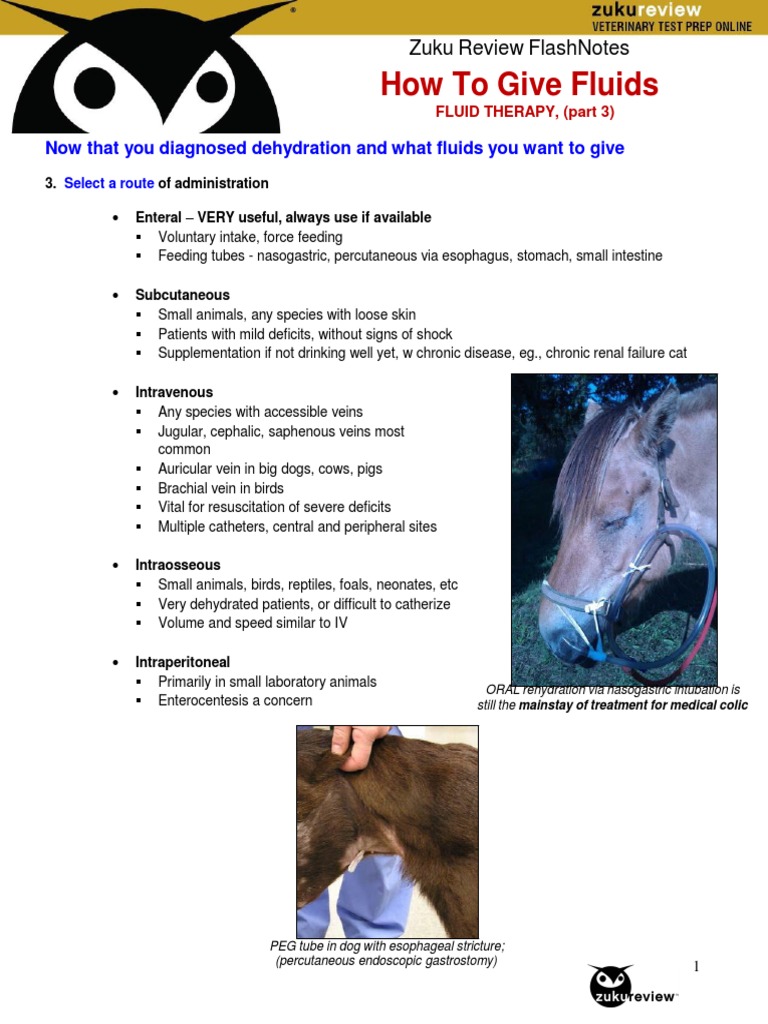 How To Give Fluids Now That You Diagnosed Dehydration and What Fluids