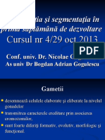 Fecundaţia Şi Segmentaţia În P Rima Săptămână de Dezvoltare