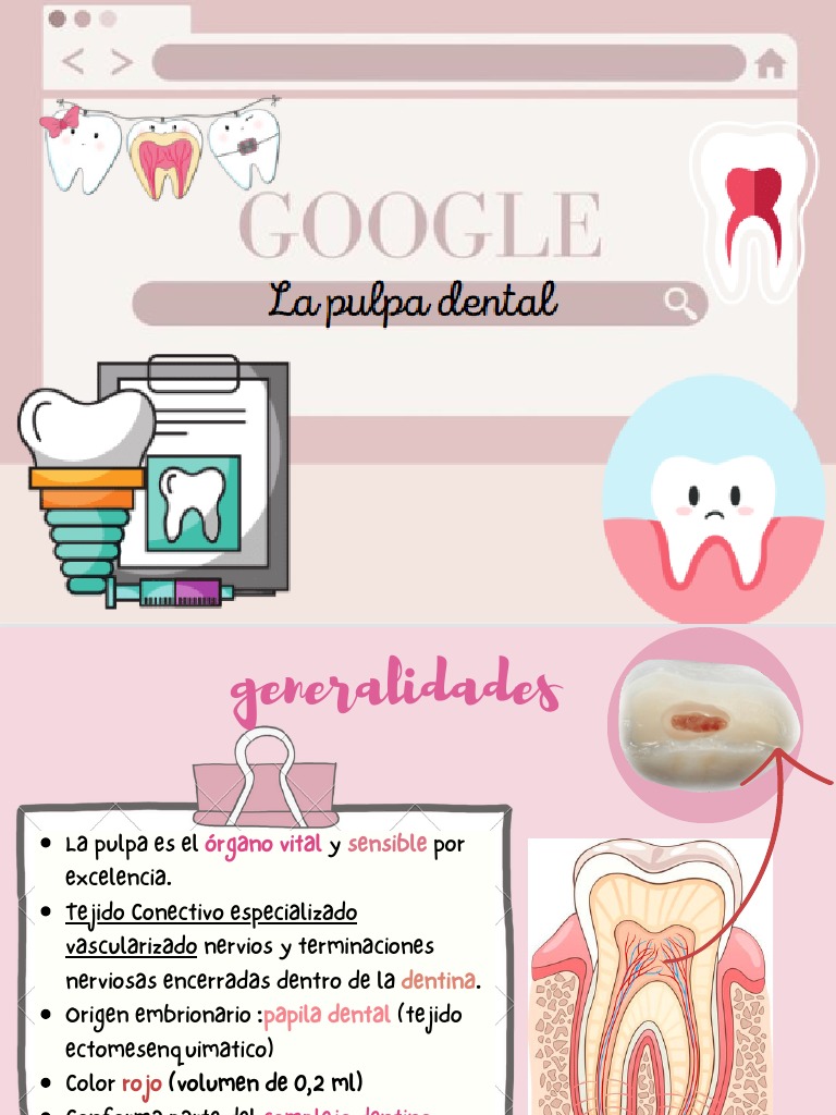 Pulpa Dental | PDF | Especialidades Medicas | Medicina CLINICA