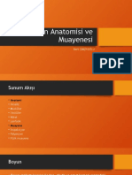 Baş Boyun Anatomisi Ve Muayenesi: Berk Şimşiroğlu