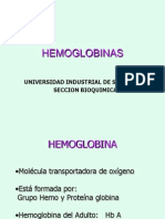 7. Catabolismo de La Hemoglobin A