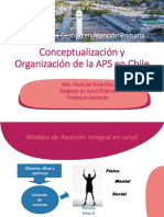 Conceptualización y Organización de La APS en Chile
