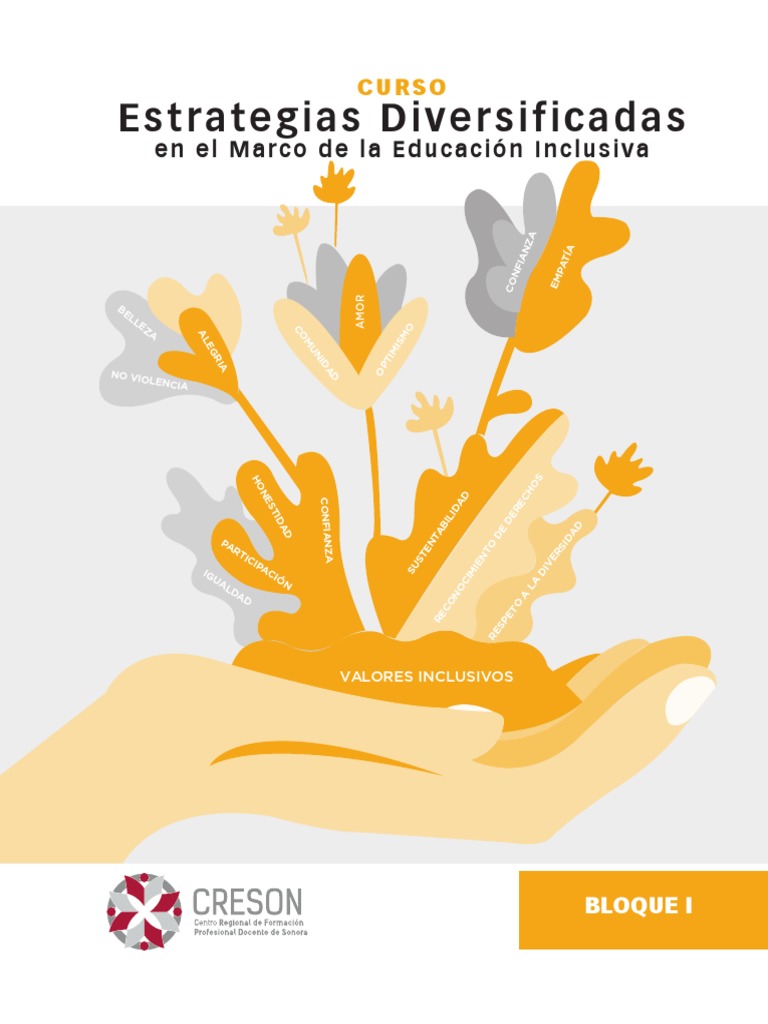 Curso Estrategias Diversificadas En El Marco De La Educacion Inclusiva