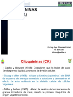 Citoquininas (CK) : Dr. Ing. Agr. Thomas Fichet U. de Chile Tfichet@uchile - CL