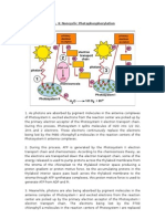 Light Dependent Reaction