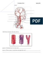 BIO 202 Circulation II Lab 22S PDF