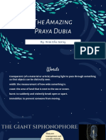 The Amazing Praya Dubia 