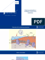 Membrana Plasmática y Transporte A Través de La Membrana