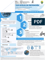 El Dengue Y Sus Niveles de Prevención El Dengue Y Sus Niveles de Prevención