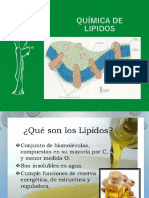 Tema 4bio Quimica de Los Lipidos