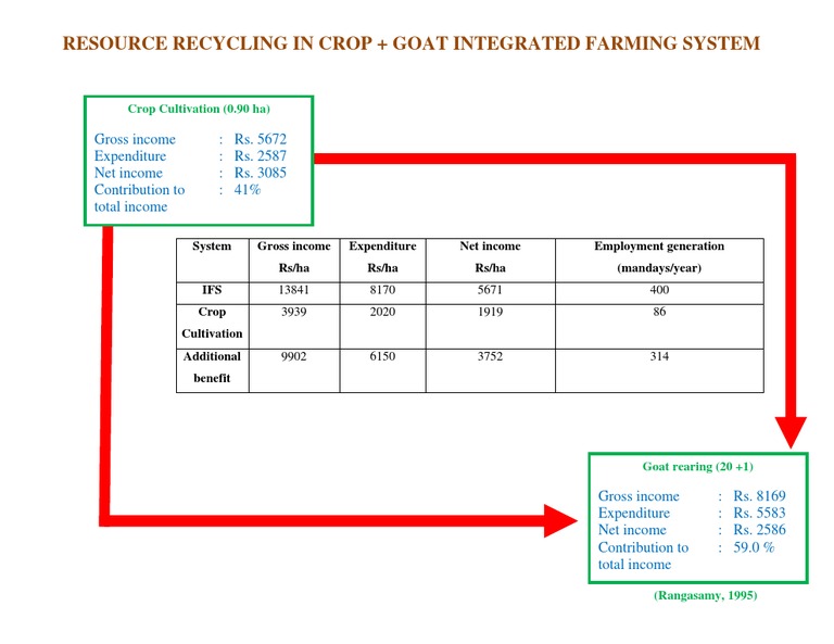 Integrated Farming System Income Analysis | PDF