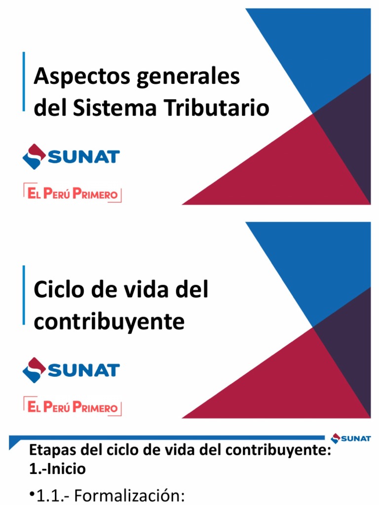 Desafíos de la Tributación en SUNAT | PDF | Impuestos | Impuesto sobre ...