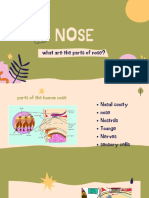 What Are The Parts of Nose?
