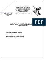 Guía Entorno de Las Organizaciones YHA 06.04.2023