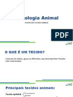 Histologia Animal 2020